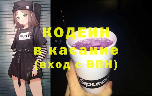 крисы Алексин