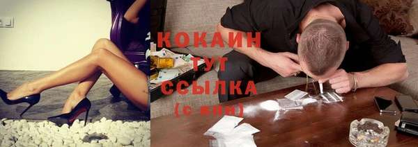 крисы Алексин