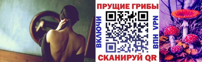 Псилоцибиновые грибы Psilocybe  маркетплейс телеграм  Беслан  купить  